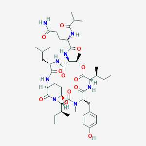 molecular formula C46H72N8O12 B10860911 Klk7/ela2-IN-1 CAS No. 1122484-55-2