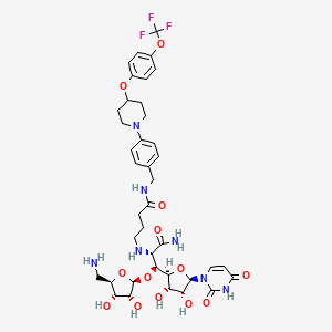 molecular formula C39H50F3N7O13 B10860958 Aminouridyl phenoxypiperidinbenzyl butamide CAS No. 2364414-26-4