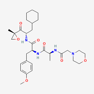 molecular formula C31H46N4O7 B10860999 (S)-N-((S)-3-Cyclohexyl-1-((R)-2-methyloxiran-2-yl)-1-oxopropan-2-yl)-3-(4-methoxyphenyl)-2-((S)-2-(2-morpholinoacetamido)propanamido)propanamide 