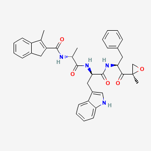 molecular formula C37H38N4O5 B10861812 N-[(2R)-1-[[(2R)-3-(1H-indol-3-yl)-1-[[(2S)-1-[(2R)-2-methyloxiran-2-yl]-1-oxo-3-phenylpropan-2-yl]amino]-1-oxopropan-2-yl]amino]-1-oxopropan-2-yl]-3-methyl-1H-indene-2-carboxamide 