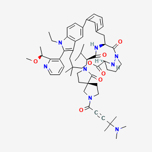 molecular formula C57H74N8O7 B10862075 (2S)-2-[(5S)-7-[4-(dimethylamino)-4-methylpent-2-ynoyl]-1-oxo-2,7-diazaspiro[4.4]nonan-2-yl]-N-[(8S,14S)-22-ethyl-21-[2-[(1S)-1-methoxyethyl]pyridin-3-yl]-18,18-dimethyl-9,15-dioxo-16-oxa-10,22,28-triazapentacyclo[18.5.2.12,6.110,14.023,27]nonacosa-1(26),2,4,6(29),20,23(27),24-heptaen-8-yl]-3-methylbutanamide 