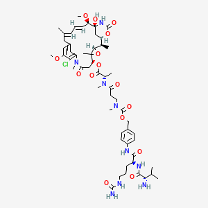 molecular formula C55H78ClN9O15 B10862112 Val-Cit-amide-Cbz-N(Me)-Maytansine 