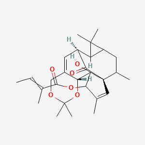 molecular formula C28H38O6 B10862209 [(1S,6R,13S)-5-hydroxy-3,8,8,15,15,18-hexamethyl-19-oxo-7,9-dioxapentacyclo[11.5.1.01,5.06,11.014,16]nonadeca-2,11-dien-4-yl] 2-methylbut-2-enoate 