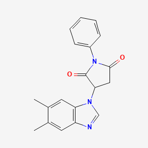 molecular formula C19H17N3O2 B10863945 3-(5,6-dimethyl-1H-benzimidazol-1-yl)-1-phenylpyrrolidine-2,5-dione 