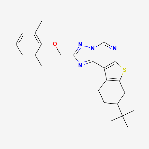 molecular formula C24H28N4OS B10866429 9-Tert-butyl-2-[(2,6-dimethylphenoxy)methyl]-8,9,10,11-tetrahydro[1]benzothieno[3,2-e][1,2,4]triazolo[1,5-c]pyrimidine 