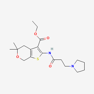 molecular formula C19H28N2O4S B10866526 ethyl 5,5-dimethyl-2-{[3-(pyrrolidin-1-yl)propanoyl]amino}-4,7-dihydro-5H-thieno[2,3-c]pyran-3-carboxylate 