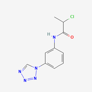 molecular formula C10H10ClN5O B10868596 2-Chloro-N-[3-(1H-1,2,3,4-tetraazol-1-YL)phenyl]propanamide 