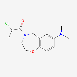 molecular formula C14H19ClN2O2 B10870424 2-Chloro-1-[7-(dimethylamino)-2,3-dihydro-1,4-benzoxazepin-4(5H)-YL]-1-propanone 