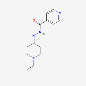 molecular formula C14H20N4O B10871503 N'-(1-propylpiperidin-4-ylidene)pyridine-4-carbohydrazide 