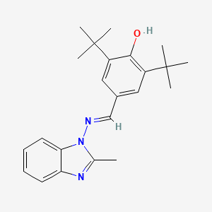 2,6-di-tert-butyl-4-{(E)-[(2-methyl-1H-benzimidazol-1-yl)imino]methyl}phenol