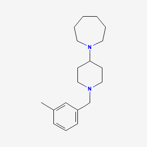 molecular formula C19H30N2 B10880641 1-[1-(3-Methylbenzyl)piperidin-4-yl]azepane 