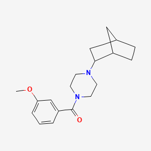 molecular formula C19H26N2O2 B10880709 [4-(Bicyclo[2.2.1]hept-2-yl)piperazin-1-yl](3-methoxyphenyl)methanone 