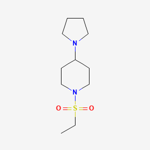 molecular formula C11H22N2O2S B10885598 1-(Ethylsulfonyl)-4-(pyrrolidin-1-yl)piperidine 