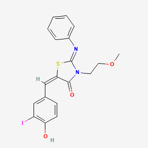 molecular formula C19H17IN2O3S B10885780 (2Z,5E)-5-(4-hydroxy-3-iodobenzylidene)-3-(2-methoxyethyl)-2-(phenylimino)-1,3-thiazolidin-4-one 