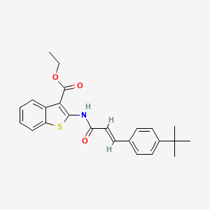 ethyl 2-{[(2E)-3-(4-tert-butylphenyl)prop-2-enoyl]amino}-1-benzothiophene-3-carboxylate