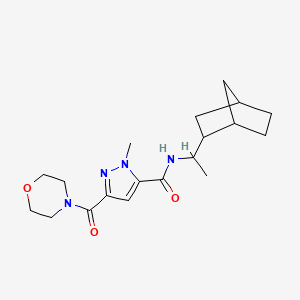 molecular formula C19H28N4O3 B10893439 N-[1-(bicyclo[2.2.1]hept-2-yl)ethyl]-1-methyl-3-(morpholin-4-ylcarbonyl)-1H-pyrazole-5-carboxamide 