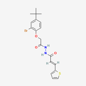 N'-[(2-bromo-4-tert-butylphenoxy)acetyl]-3-(2-thienyl)acrylohydrazide