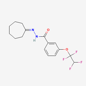 N'-cycloheptylidene-3-(1,1,2,2-tetrafluoroethoxy)benzohydrazide