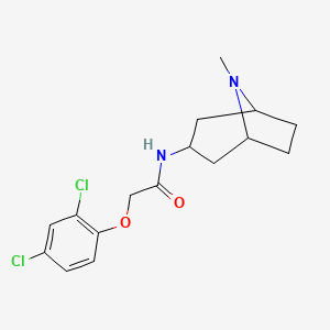 molecular formula C16H20Cl2N2O2 B10895105 2-(2,4-dichlorophenoxy)-N-(8-methyl-8-azabicyclo[3.2.1]oct-3-yl)acetamide 