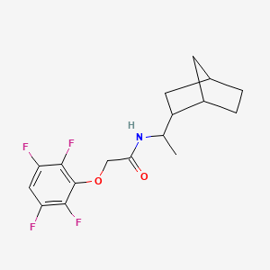 N-[1-(bicyclo[2.2.1]hept-2-yl)ethyl]-2-(2,3,5,6-tetrafluorophenoxy)acetamide