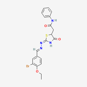 molecular formula C20H19BrN4O3S B10896057 2-{(2E)-2-[(2E)-(3-bromo-4-ethoxybenzylidene)hydrazinylidene]-4-oxo-1,3-thiazolidin-5-yl}-N-phenylacetamide 