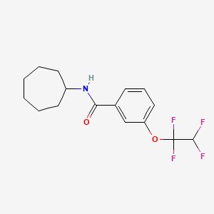 molecular formula C16H19F4NO2 B10898736 N-cycloheptyl-3-(1,1,2,2-tetrafluoroethoxy)benzamide 