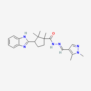 molecular formula C22H28N6O B10899349 3-(1H-benzimidazol-2-yl)-N'-[(E)-(1,5-dimethyl-1H-pyrazol-4-yl)methylidene]-1,2,2-trimethylcyclopentanecarbohydrazide 