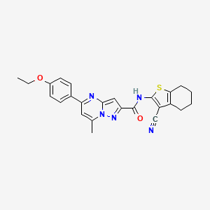 N-(3-cyano-4,5,6,7-tetrahydro-1-benzothiophen-2-yl)-5-(4-ethoxyphenyl)-7-methylpyrazolo[1,5-a]pyrimidine-2-carboxamide