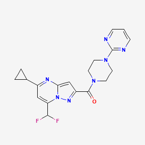 molecular formula C19H19F2N7O B10900478 [5-Cyclopropyl-7-(difluoromethyl)pyrazolo[1,5-a]pyrimidin-2-yl][4-(pyrimidin-2-yl)piperazin-1-yl]methanone 