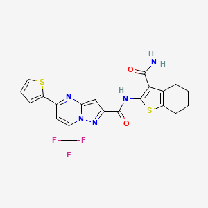 molecular formula C21H16F3N5O2S2 B10900841 N-(3-carbamoyl-4,5,6,7-tetrahydro-1-benzothiophen-2-yl)-5-(thiophen-2-yl)-7-(trifluoromethyl)pyrazolo[1,5-a]pyrimidine-2-carboxamide 