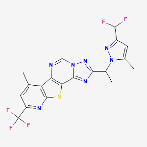 molecular formula C19H14F5N7S B10901805 4-[1-[3-(difluoromethyl)-5-methylpyrazol-1-yl]ethyl]-11-methyl-13-(trifluoromethyl)-16-thia-3,5,6,8,14-pentazatetracyclo[7.7.0.02,6.010,15]hexadeca-1(9),2,4,7,10(15),11,13-heptaene 