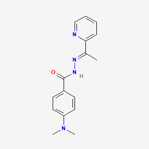 molecular formula C16H18N4O B10904941 4-(dimethylamino)-N'-[(1E)-1-(pyridin-2-yl)ethylidene]benzohydrazide 