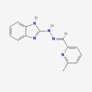 2-{(2E)-2-[(6-methylpyridin-2-yl)methylidene]hydrazinyl}-1H-benzimidazole