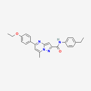 molecular formula C24H24N4O2 B10913113 5-(4-ethoxyphenyl)-N-(4-ethylphenyl)-7-methylpyrazolo[1,5-a]pyrimidine-2-carboxamide 