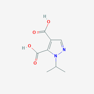 molecular formula C8H10N2O4 B10913449 1-Isopropyl-1H-pyrazole-4,5-dicarboxylic acid CAS No. 52942-85-5