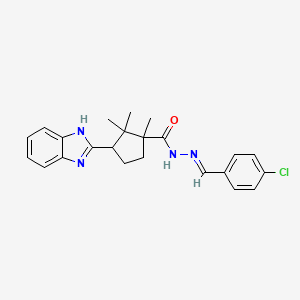 3-(1H-benzimidazol-2-yl)-N'-[(E)-(4-chlorophenyl)methylidene]-1,2,2-trimethylcyclopentanecarbohydrazide