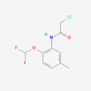 2-Chloro-N-(2-difluoromethoxy-5-methyl-phenyl)-acetamide