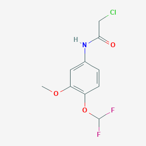 2-Chloro-N-(4-difluoromethoxy-3-methoxy-phenyl)-acetamide