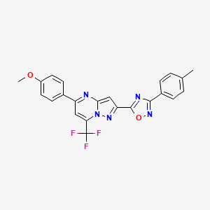 molecular formula C23H16F3N5O2 B10921724 5-(4-Methoxyphenyl)-2-[3-(4-methylphenyl)-1,2,4-oxadiazol-5-yl]-7-(trifluoromethyl)pyrazolo[1,5-a]pyrimidine 