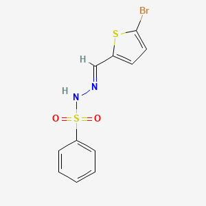 molecular formula C11H9BrN2O2S2 B10923587 N'-[(E)-(5-bromothiophen-2-yl)methylidene]benzenesulfonohydrazide 