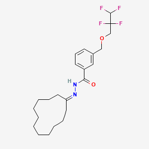 molecular formula C23H32F4N2O2 B10925294 N'-cyclododecylidene-3-[(2,2,3,3-tetrafluoropropoxy)methyl]benzohydrazide 