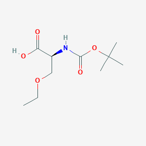 molecular formula C10H19NO5 B010930 Boc-(S)-2-氨基-3-乙氧基丙酸 CAS No. 104839-00-1