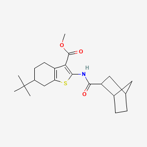 Methyl 2-[(bicyclo[2.2.1]hept-2-ylcarbonyl)amino]-6-tert-butyl-4,5,6,7-tetrahydro-1-benzothiophene-3-carboxylate