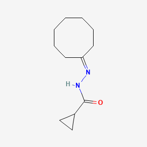 molecular formula C12H20N2O B10932045 N'-Cyclooctylidenecyclopropanecarbohydrazide 