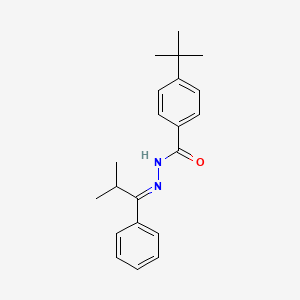 molecular formula C21H26N2O B10932500 4-tert-butyl-N'-[(1E)-2-methyl-1-phenylpropylidene]benzohydrazide 