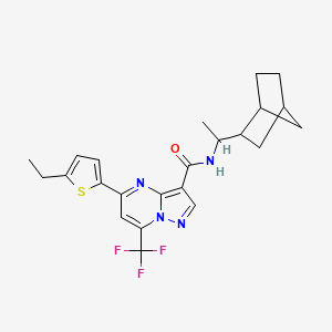 molecular formula C23H25F3N4OS B10933680 N-[1-(bicyclo[2.2.1]hept-2-yl)ethyl]-5-(5-ethylthiophen-2-yl)-7-(trifluoromethyl)pyrazolo[1,5-a]pyrimidine-3-carboxamide 