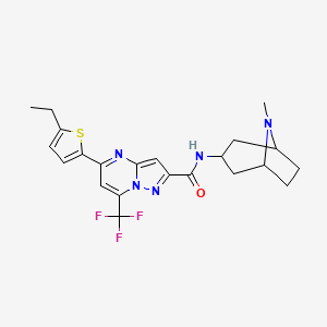 molecular formula C22H24F3N5OS B10933724 5-(5-ethylthiophen-2-yl)-N-(8-methyl-8-azabicyclo[3.2.1]oct-3-yl)-7-(trifluoromethyl)pyrazolo[1,5-a]pyrimidine-2-carboxamide 