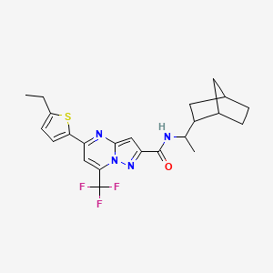 molecular formula C23H25F3N4OS B10933837 N-[1-(bicyclo[2.2.1]hept-2-yl)ethyl]-5-(5-ethylthiophen-2-yl)-7-(trifluoromethyl)pyrazolo[1,5-a]pyrimidine-2-carboxamide 