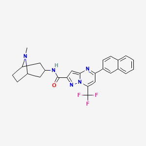 molecular formula C26H24F3N5O B10934041 N-(8-methyl-8-azabicyclo[3.2.1]oct-3-yl)-5-(naphthalen-2-yl)-7-(trifluoromethyl)pyrazolo[1,5-a]pyrimidine-2-carboxamide 