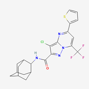 molecular formula C22H20ClF3N4OS B10936643 N~2~-(2-Adamantyl)-3-chloro-5-(2-thienyl)-7-(trifluoromethyl)pyrazolo[1,5-A]pyrimidine-2-carboxamide 